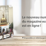 Magazine ECST4U #38 : Sainte Thérèse sans frontières