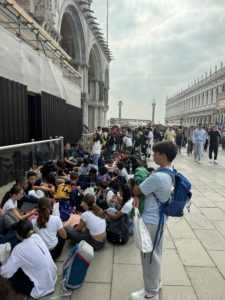 IMG 7460
