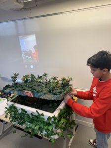 IMG 3949