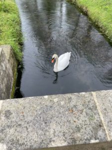 Image00002