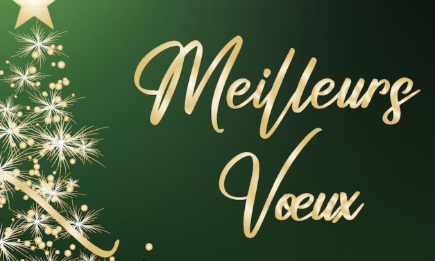 Meilleurs vœux