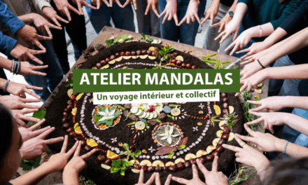 Atelier Mandala : un voyage intérieur et collectif