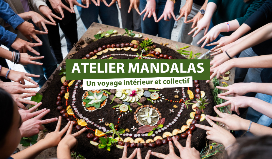 Atelier Mandala : un voyage intérieur et collectif