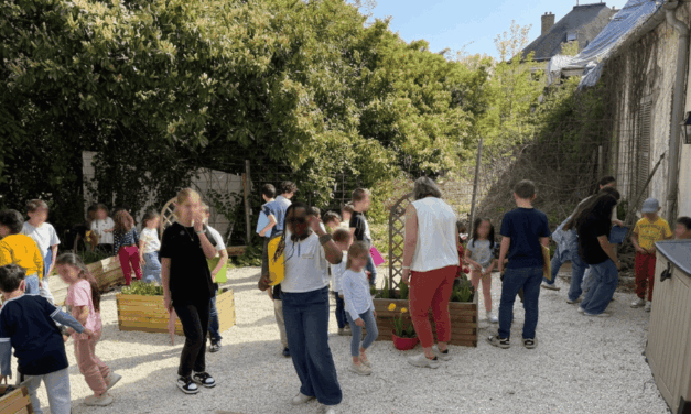 Quand nos collégiens deviennent les tuteurs écologiques des plus petits